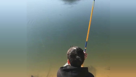 楊柏文最新垂釣視頻，從初學者到進階用戶的技能提升指南