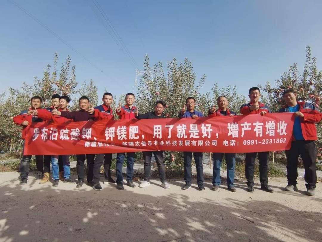 新疆國投羅鉀最新動(dòng)態(tài)，全面指南與最新發(fā)展概述