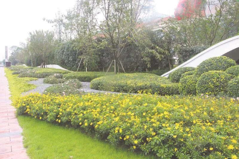 嬢王演員的自然之旅，邂逅美景，尋找內(nèi)心平和之道