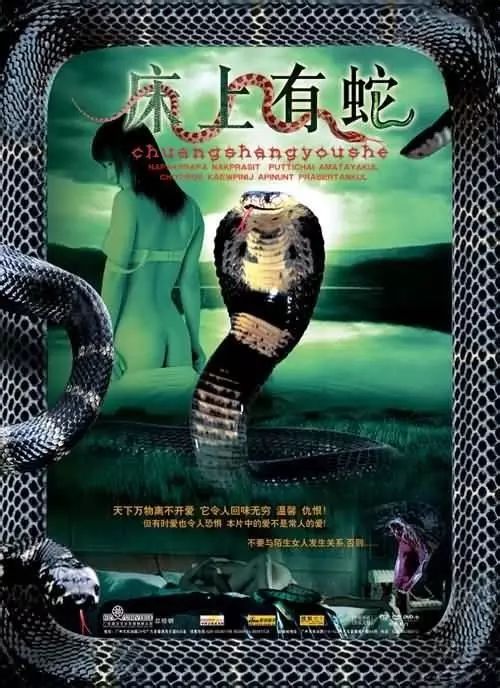 最新蛇片，蛻變的旅程，召喚自信與成就感的冒險(xiǎn)之旅