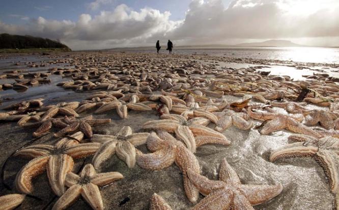 死亡擱淺電影，小巷深處的獨特觀影之旅