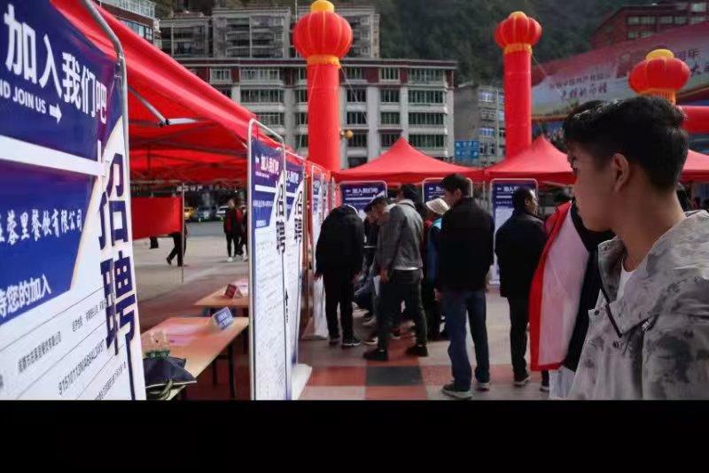 青白江招聘信息探索，小巷中的職業(yè)機(jī)遇