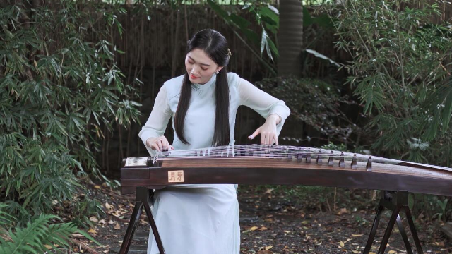 抖音最新琵琶演奏，古典與現(xiàn)代的完美融合之美
