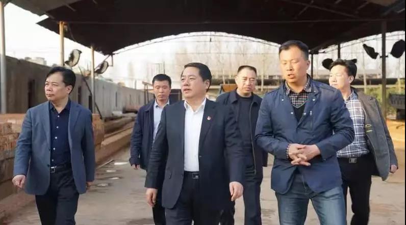 商丘王仲田最新動態(tài)，探索自然美景的旅行，尋求內(nèi)心平和之旅