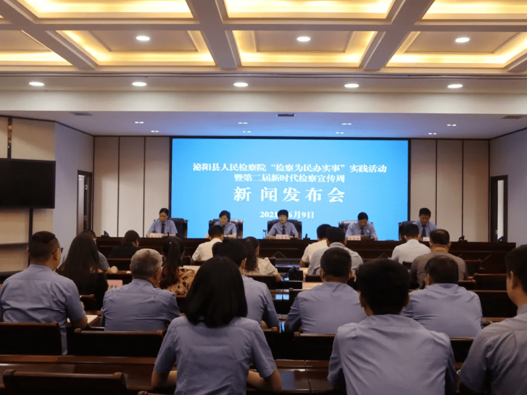 泌陽新聞最新動態(tài)，多元視角下的觀察與思考