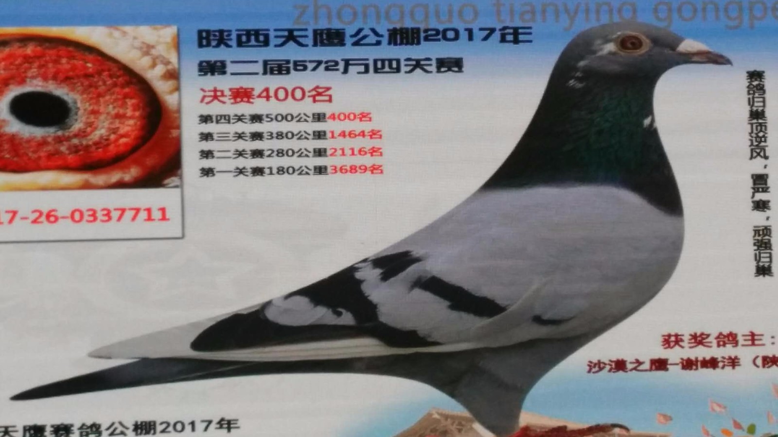 LED光源 第132頁