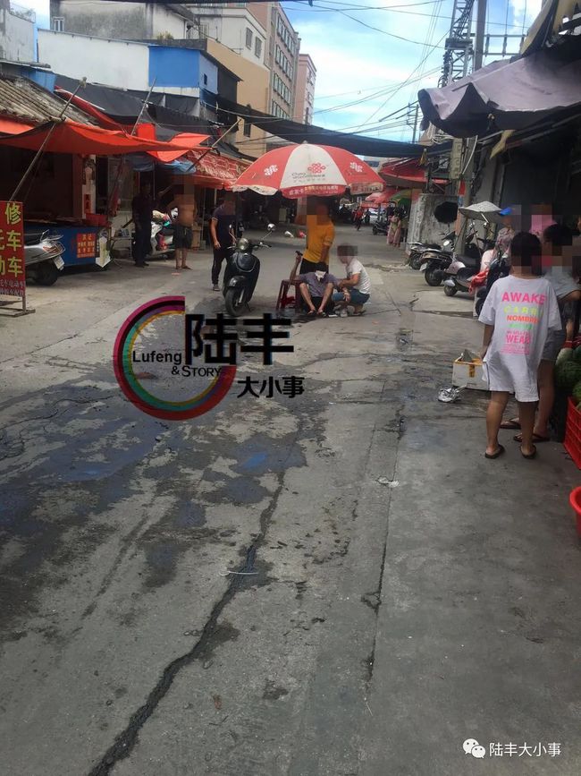陸豐科技新品引領(lǐng)未來生活新潮流，最新消息震撼登場(chǎng)