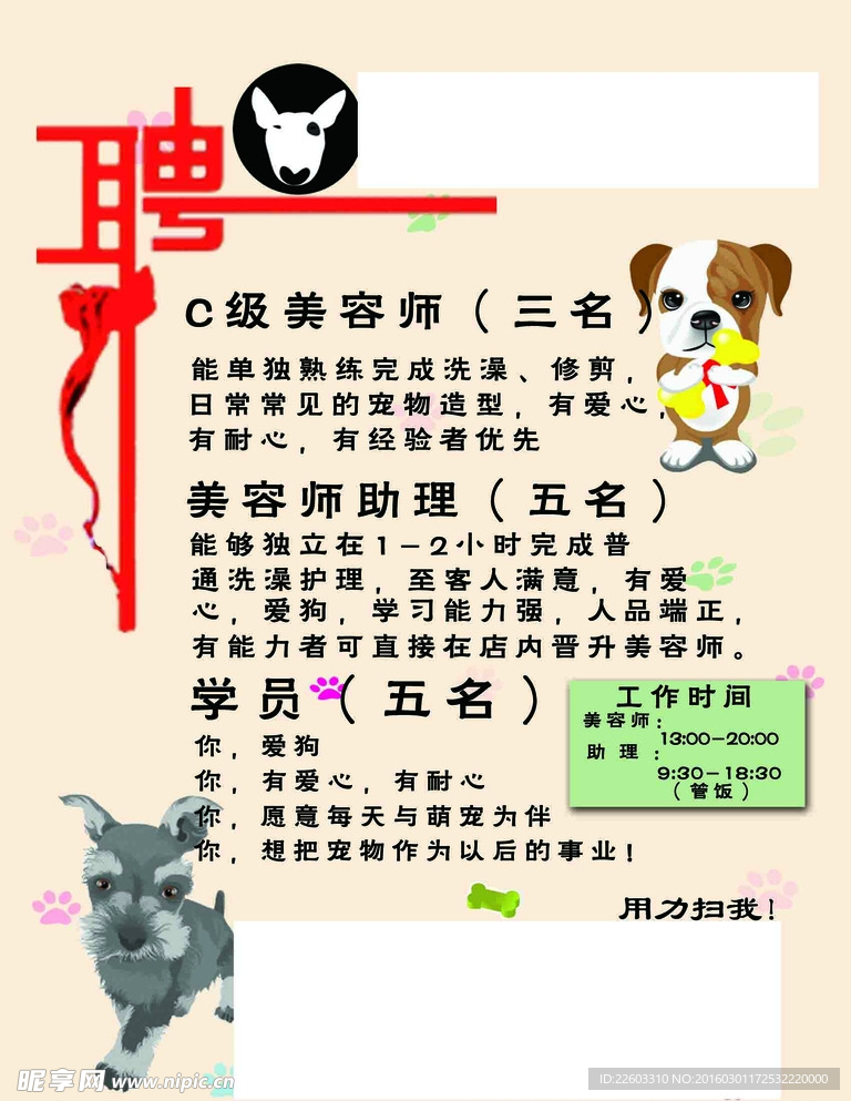 寵物店招聘最新動(dòng)態(tài)，共探自然之美，尋求內(nèi)心寧?kù)o