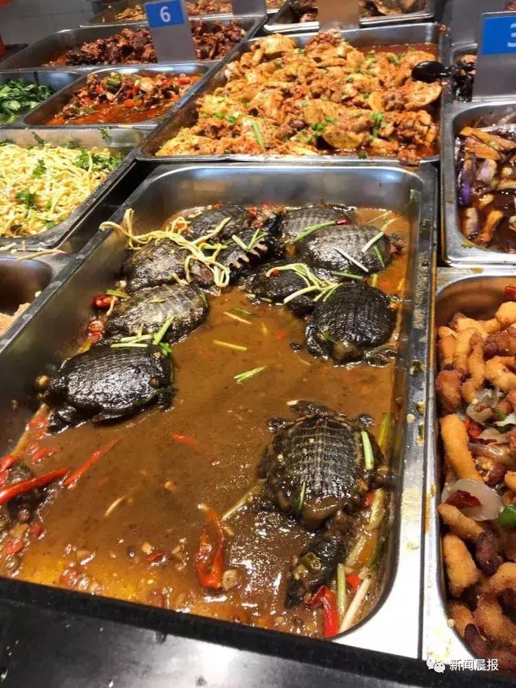 探索食堂美食新潮流，最新食堂菜一覽