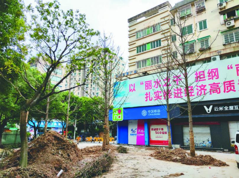 最新吊車網(wǎng)，自然美景之旅與內(nèi)心平靜的探尋