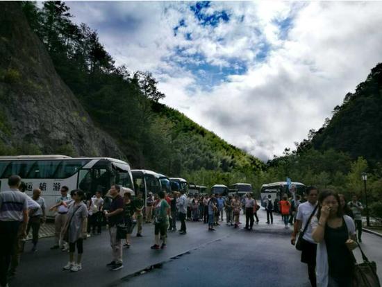 泰順高鐵最新動(dòng)態(tài)更新，最新消息一覽