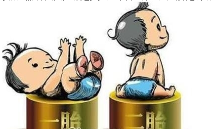 最新雙胞胎補助政策，攜手同行，助力孕育夢想之路