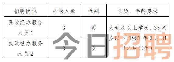 慶陽最新招聘揭秘，小巷中的特色小店，探索未知寶藏的職場之旅