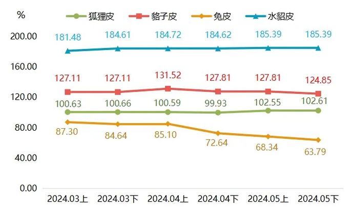 最新貉皮價(jià)格行情，市場(chǎng)走勢(shì)與友情交織的小插曲