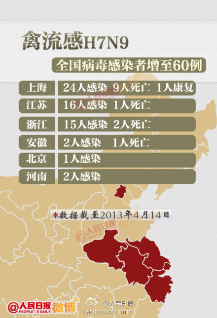山東禽流感最新動態(tài)，友情與陪伴的溫馨故事