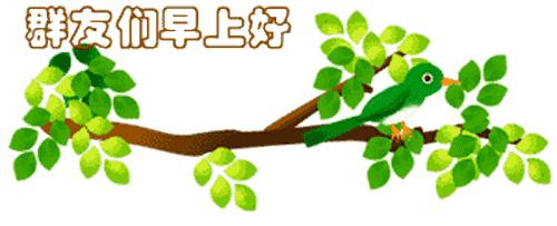 最新清晨祝福短信，晨曦中的溫暖問候，傳遞美好祝愿與關懷