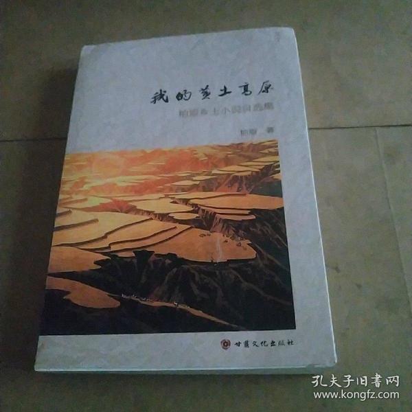 時代背景下的鄉(xiāng)土情懷與文學地位，最新鄉(xiāng)土小說探析