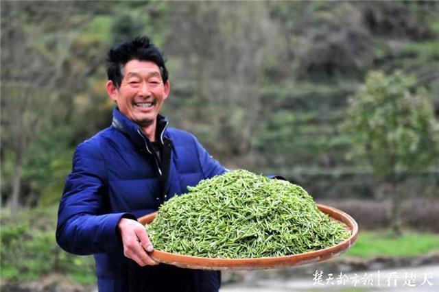 最新夷陵新聞，探索自然美景的旅程，尋覓內(nèi)心平和之地