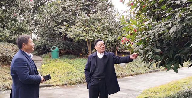 最新花木求購(gòu)，開(kāi)啟一場(chǎng)尋綠之旅的溫馨旅程