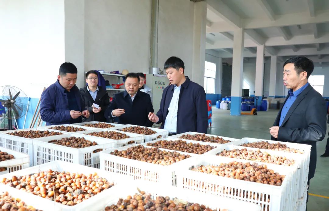 建寧最新新聞，城市溫馨日常與友情力量的展現(xiàn)