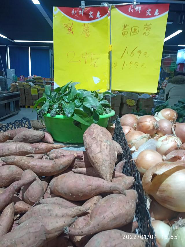 最新地瓜價(jià)格解析，查詢指南與任務(wù)攻略