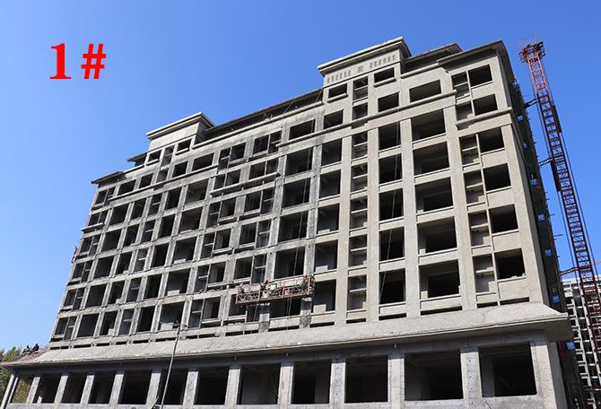 平輿最新樓盤市場現(xiàn)狀與前景展望，深度解析市場趨勢與發(fā)展前景展望