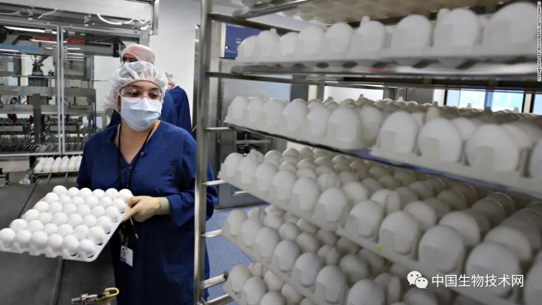 最新流感疫苗，科技助力健康新生活保護(hù)您免受流感侵襲