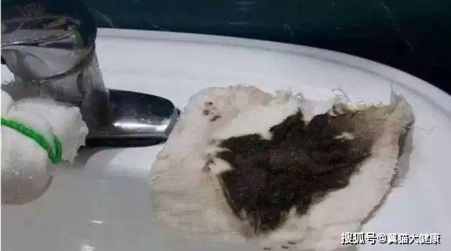 揭秘水污染真相，小杰的河流探索之旅——溫馨河流的秘密揭秘視頻