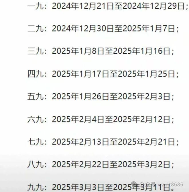 最新久久網(wǎng)2025，友情小船與溫馨日常的交織