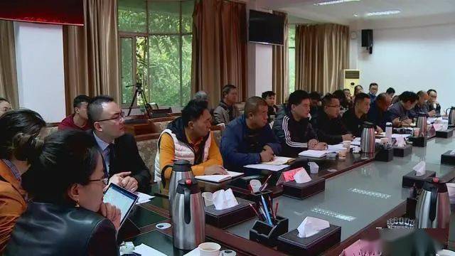 德昌最新新聞，擁抱自然，心靈寧靜之旅啟程