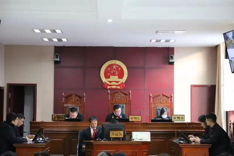 偏關(guān)最新案件深度解析，揭示真相，關(guān)注社會(huì)公正與公平