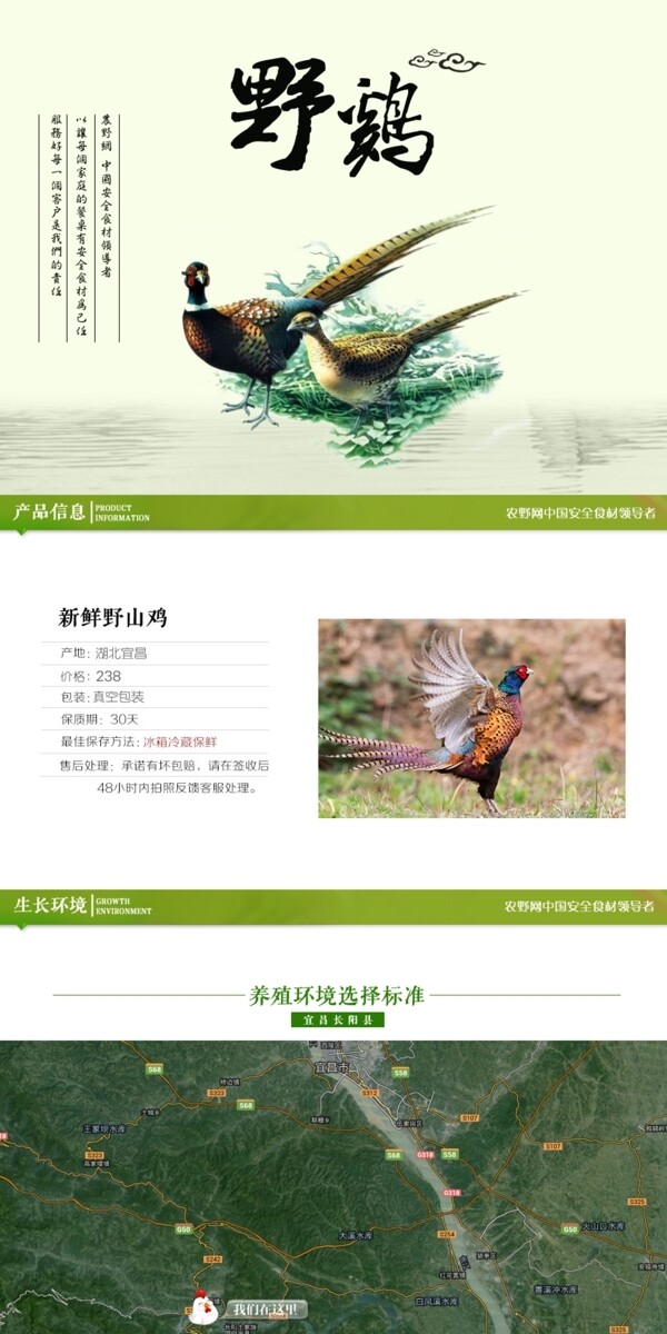 深度剖析，最新山雞的背景、事件與地位概述