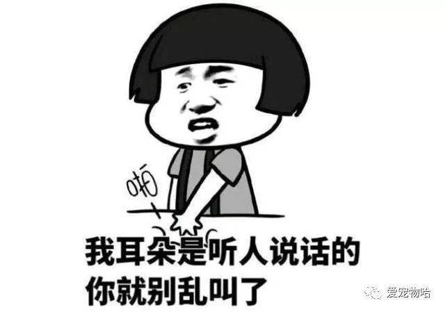 最新枕邊笑話，科技小寶貝，生活添樂趣