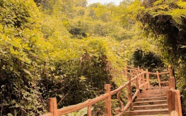 小99最新，科技、生活與娛樂的交融之地