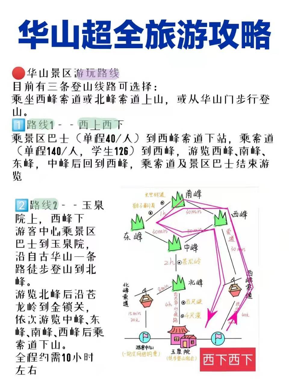 華山旅游最新探秘，小巷中的獨特風味之旅