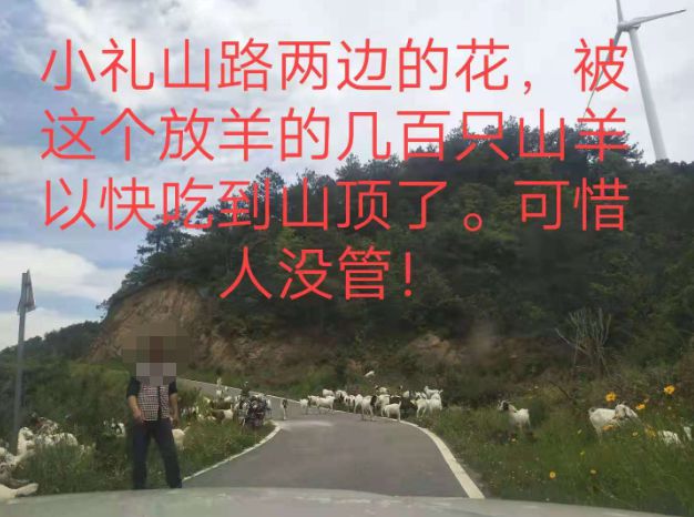 大悟最新路，探索未知，自信成就夢想之旅的啟程