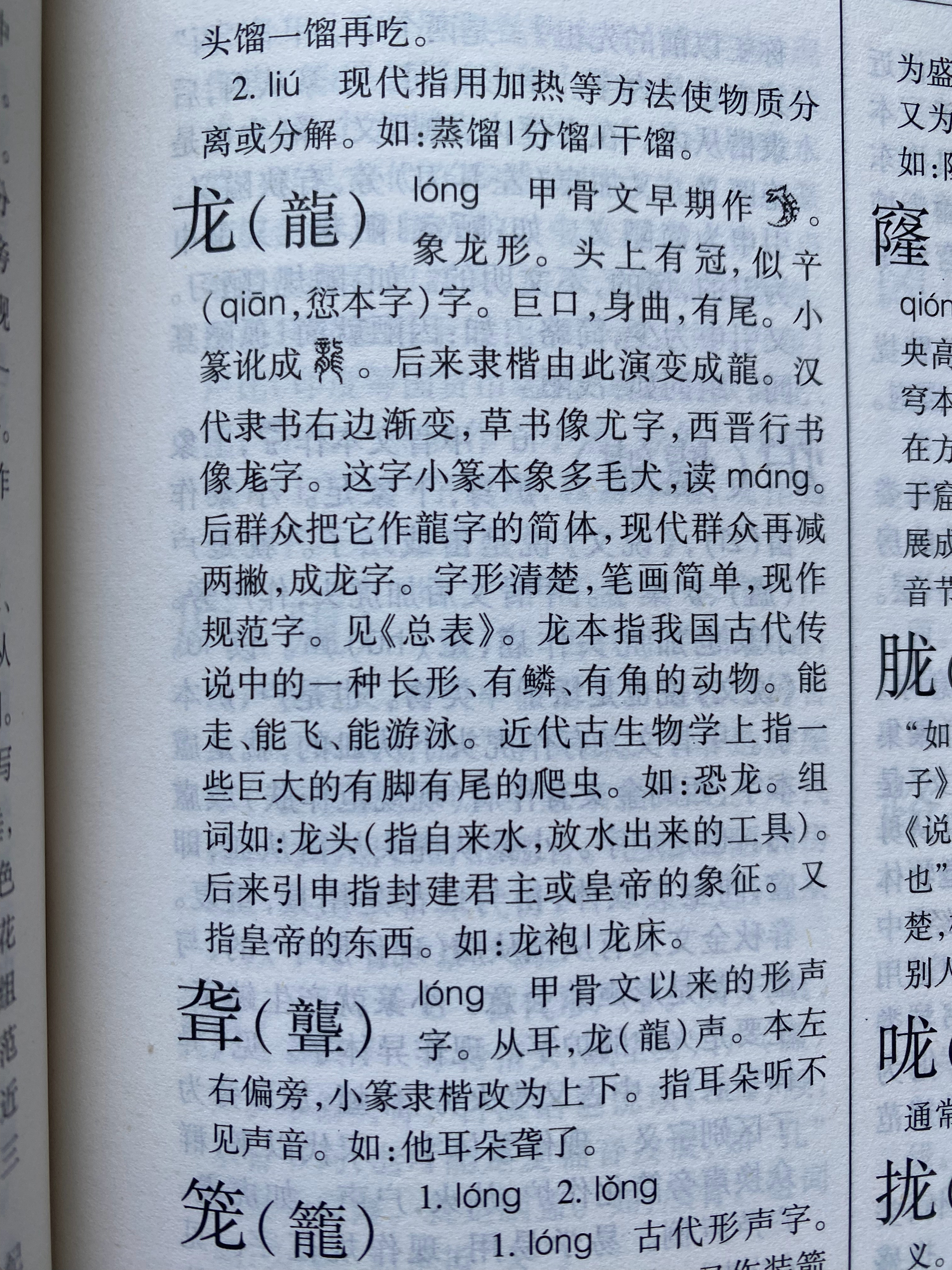 龍組詞最新，探索神秘詞匯世界，領略龍的魅力詞匯