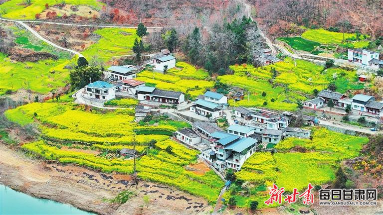 揭秘文縣，歷史背景、重大事件與時(shí)代地位全景展示