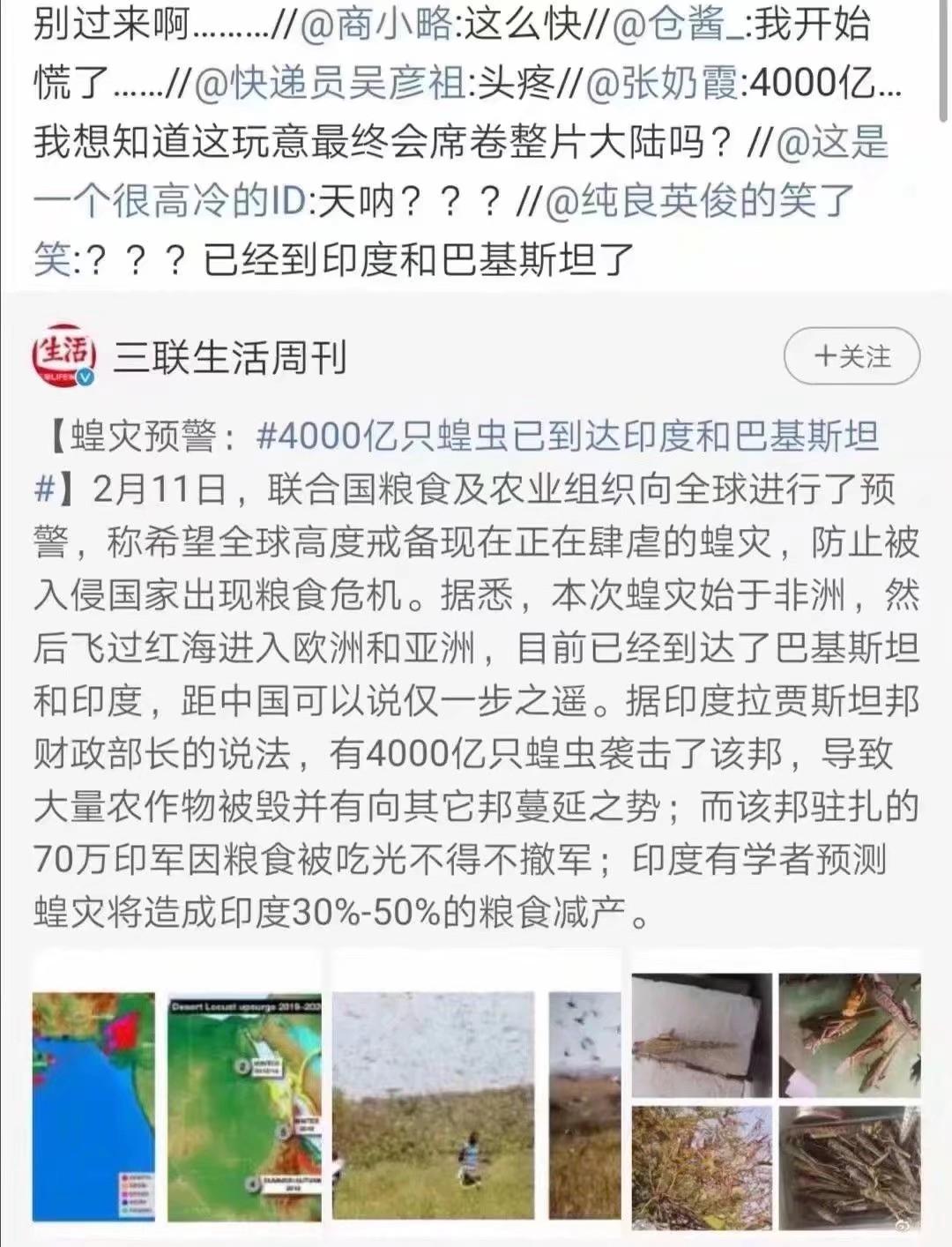 蝗蟲最新動(dòng)態(tài)，防治與監(jiān)測(cè)的全面指南