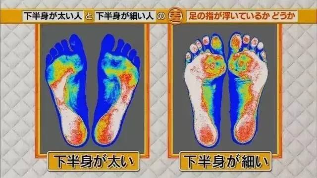 最新地趾論述，探索、爭議與觀點綜述