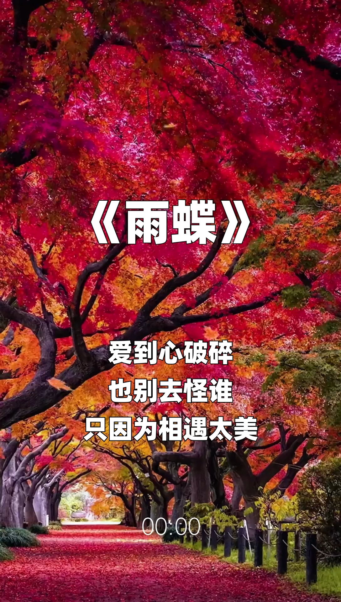 雨蝶最新步驟指南，如何完成任務(wù)或?qū)W習(xí)技能？
