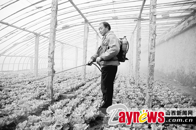 最新農(nóng)藥抽檢結(jié)果出爐，守護(hù)農(nóng)田安全，你我他的共同責(zé)任