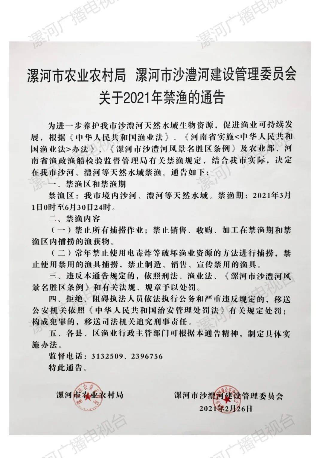 漯河最新通告，探索自然美景，尋覓內(nèi)心寧靜與平和之旅