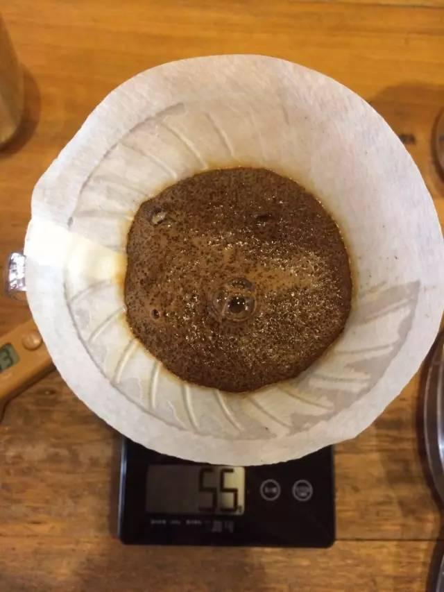 最新萃取法詳解，步驟指南與操作技巧