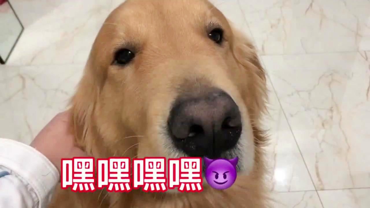 第319頁(yè)