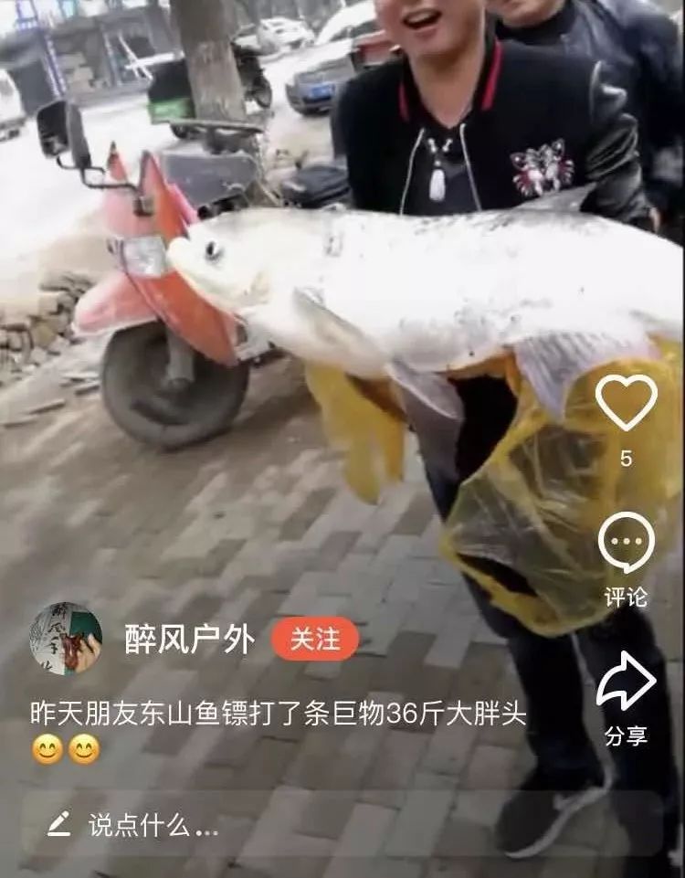 射魚神器進化升級，學(xué)習(xí)變革與自信成就之源