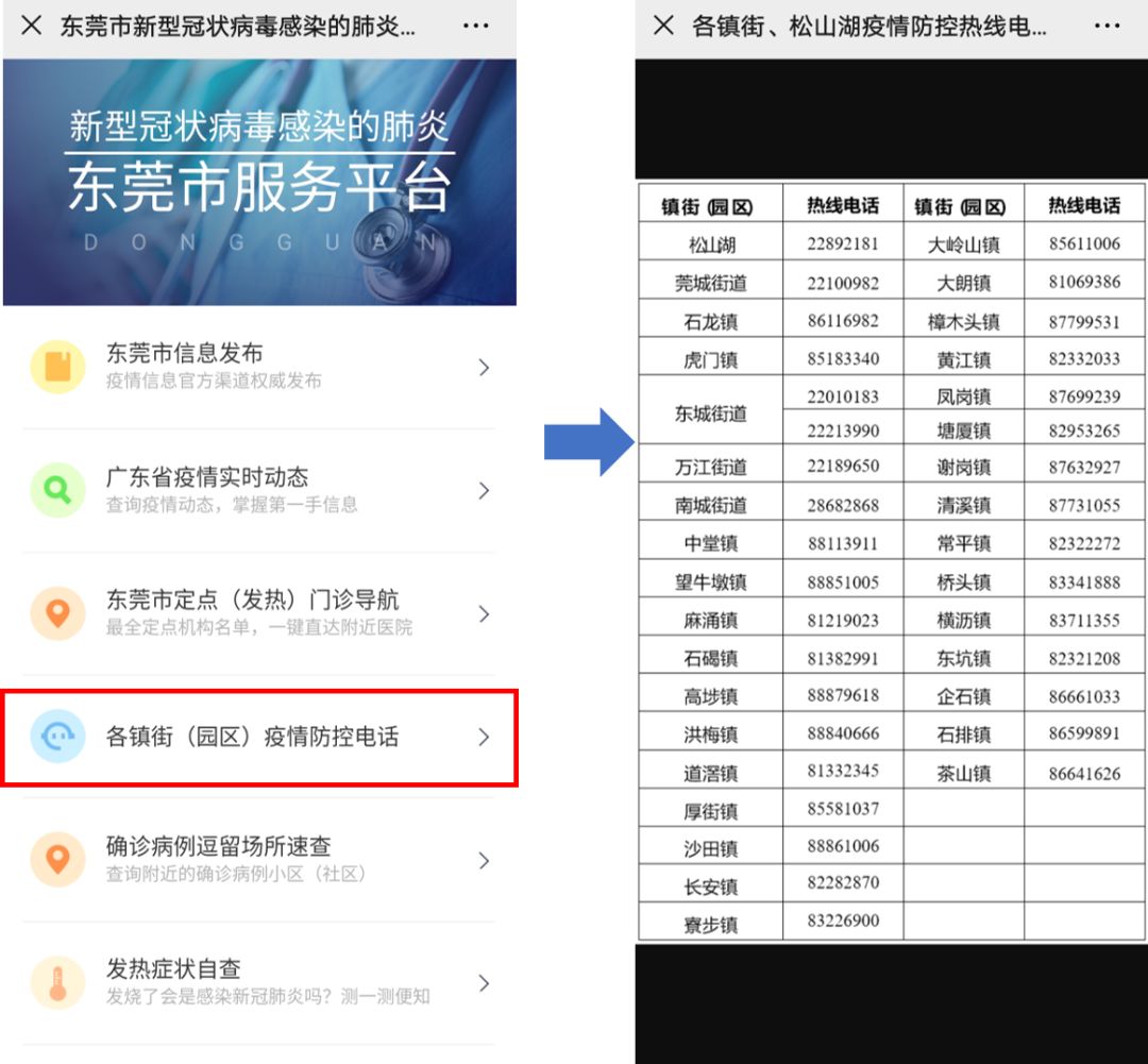 東莞最新疫情狀況，逆風翱翔，用知識守護夢想健康