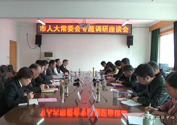 安徽歙縣最新動(dòng)態(tài)，小巷深處的驚喜