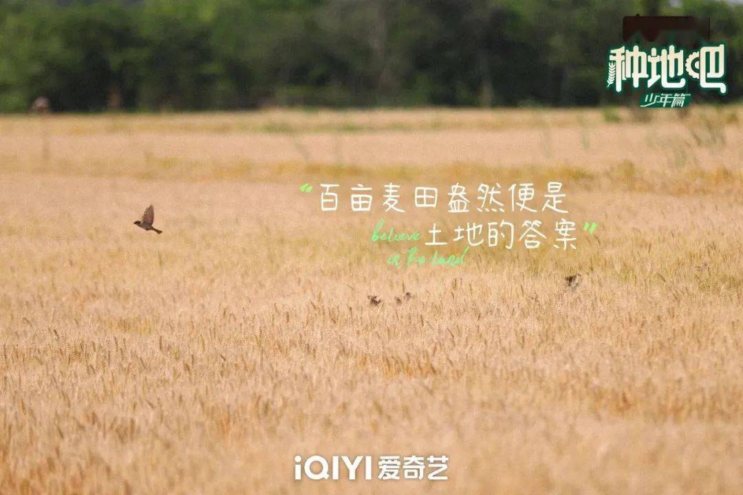 種地吧最新語(yǔ)錄，探索未來(lái)農(nóng)業(yè)的高科技魅力