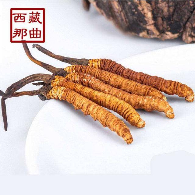 廣場燈具 第21頁